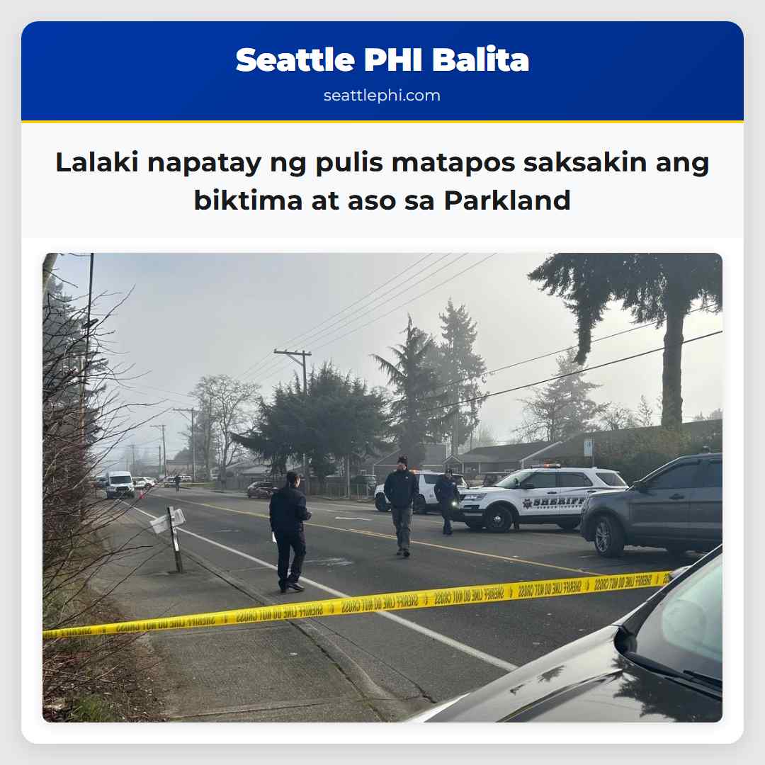Lalaki napatay ng pulis matapos saksakin ang