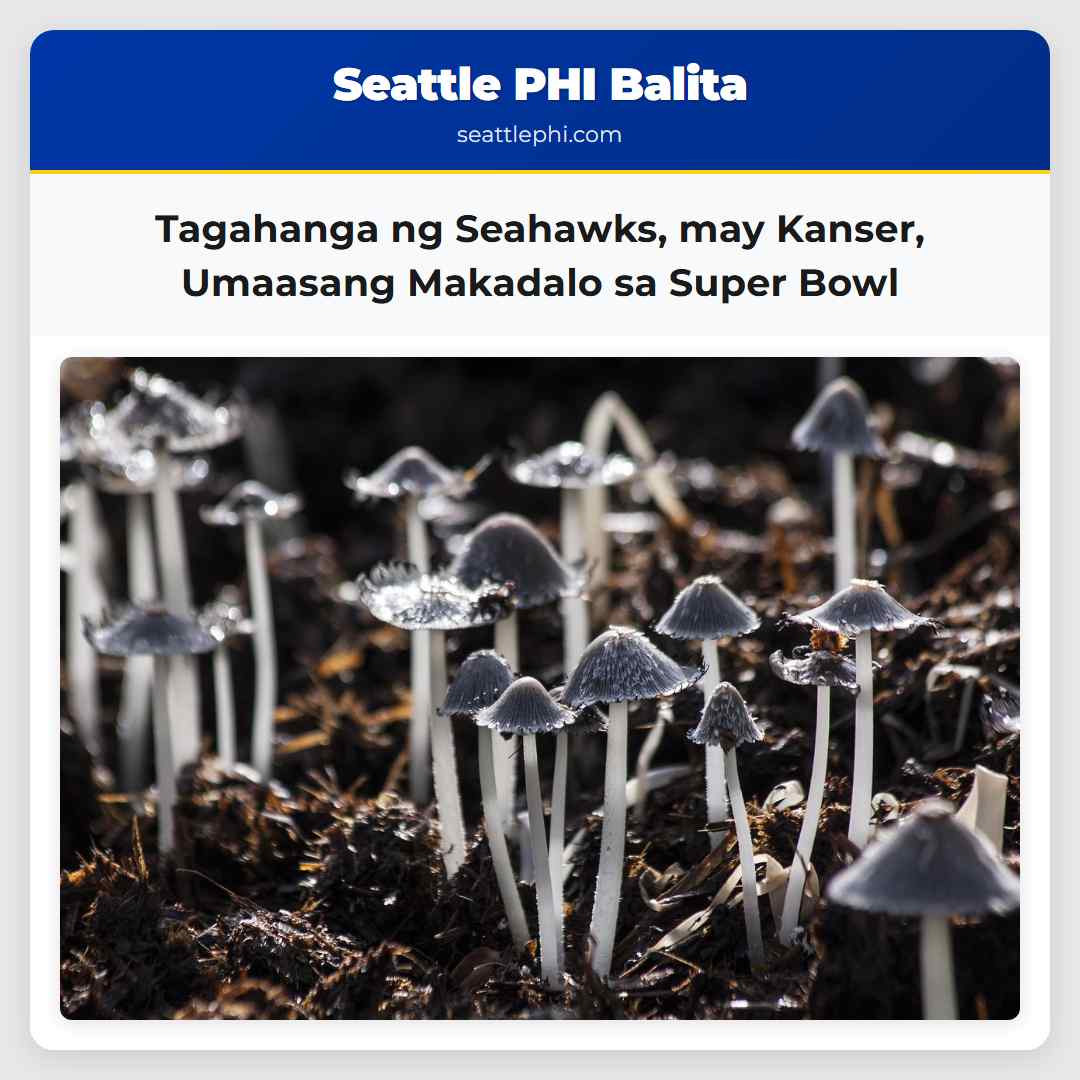 Tagahanga ng Seahawks, may Kanser, Umaasang