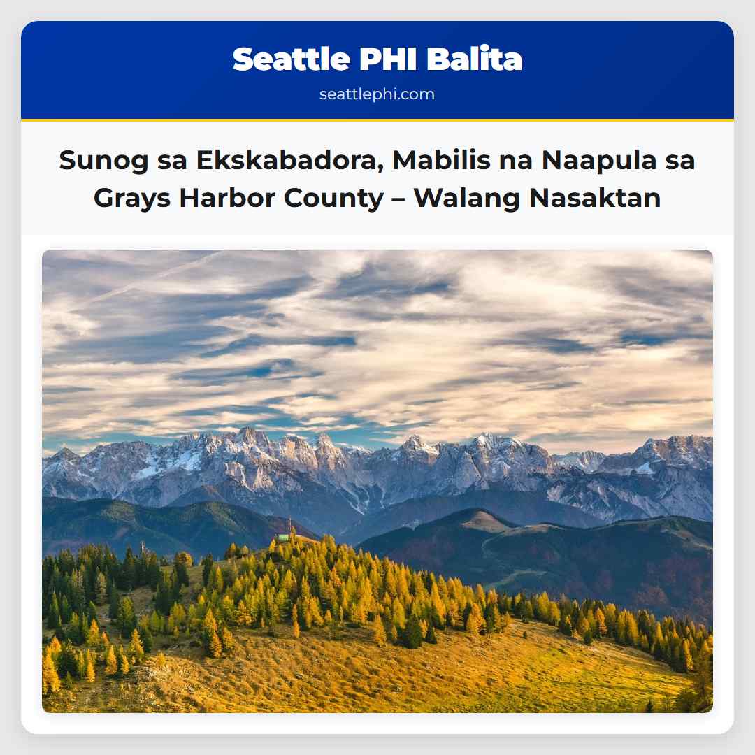 Sunog sa Ekskabadora, Mabilis na Naapula sa Grays