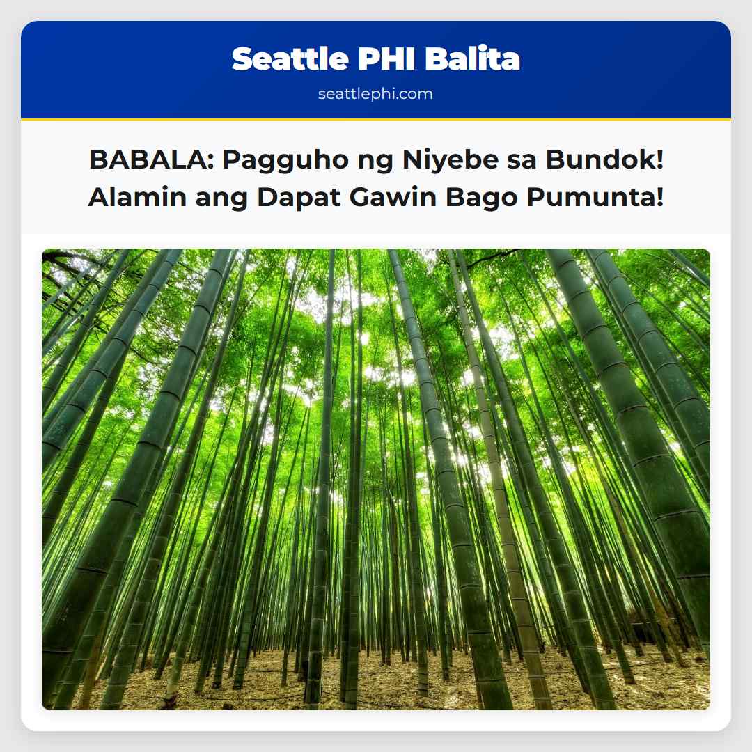 BABALA: Pagguho ng Niyebe sa Bundok! Alamin ang