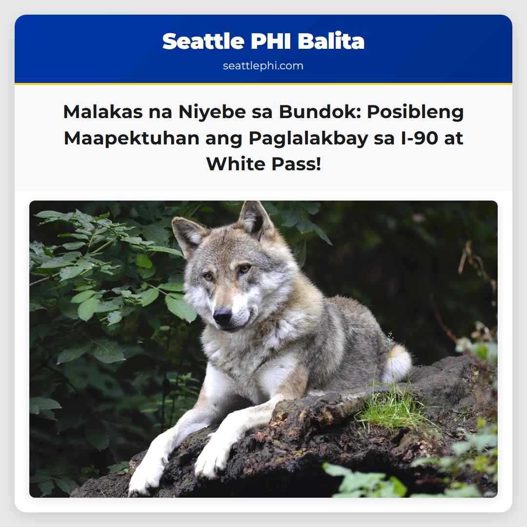Malakas na Niyebe sa Bundok: Posibleng