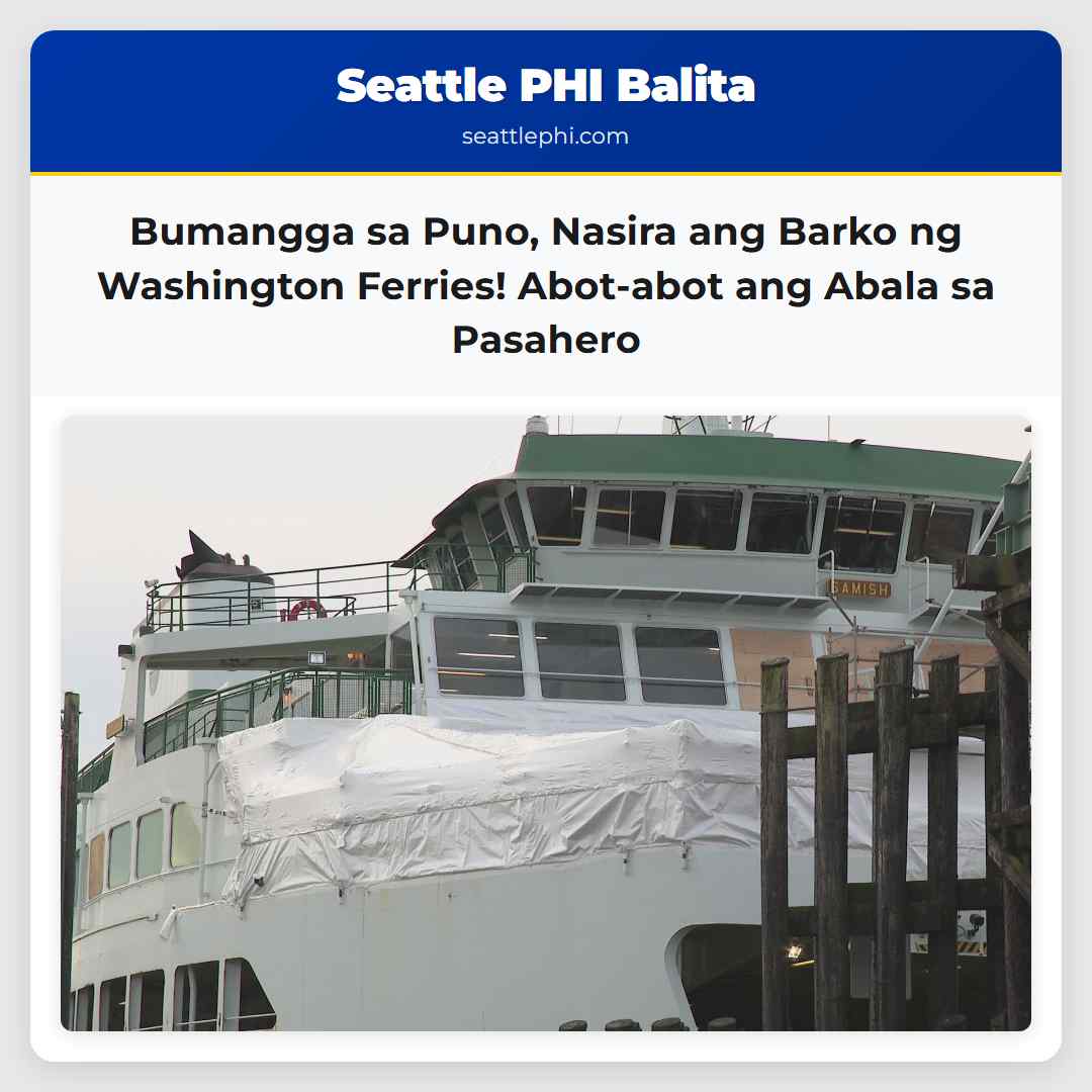 Bumangga sa Puno, Nasira ang Barko ng Washington