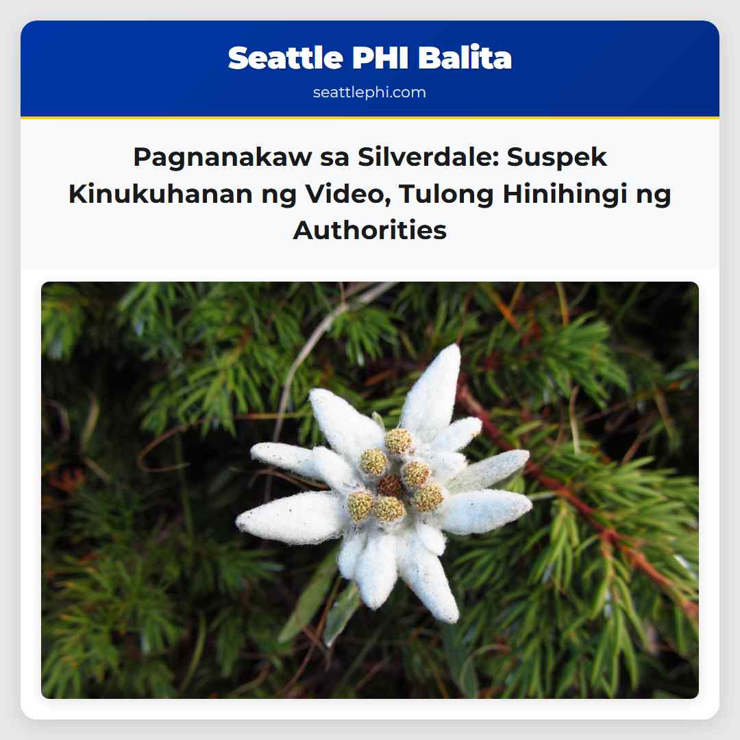 Pagnanakaw sa Silverdale: Suspek Kinukuhanan ng