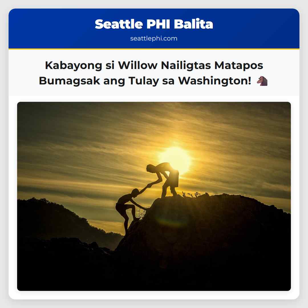 Kabayong si Willow Nailigtas Matapos Bumagsak ang