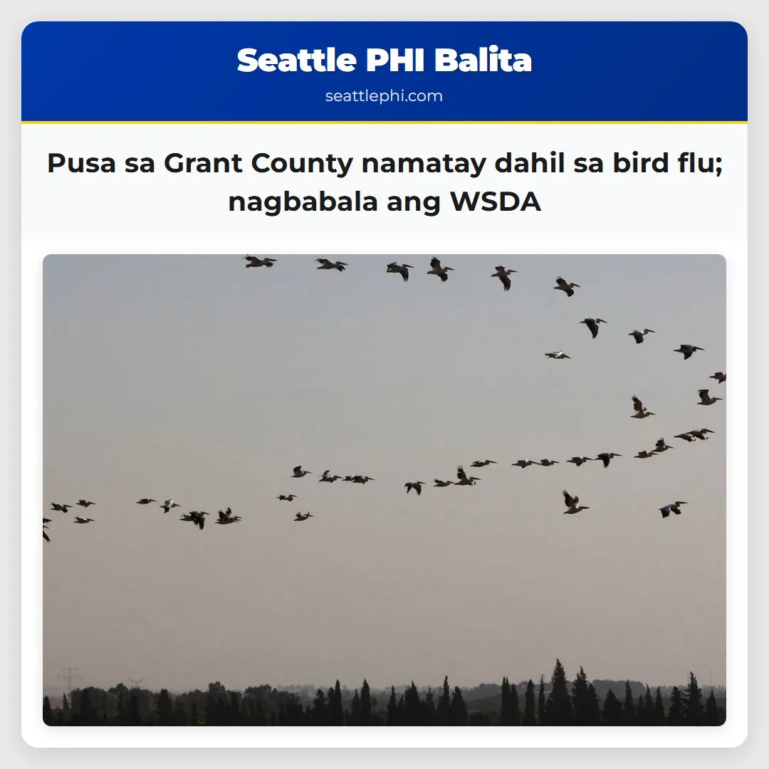 Pusa sa Grant County namatay dahil sa bird flu;