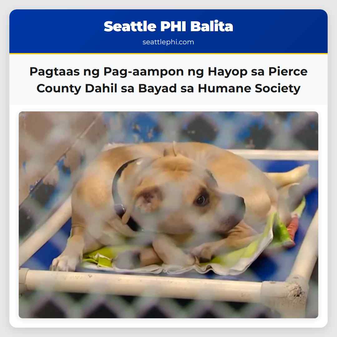 Pagtaas ng Pag-aampon ng Hayop sa Pierce County