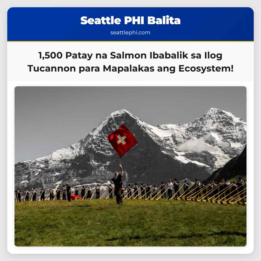 1,500 Patay na Salmon Ibabalik sa Ilog Tucannon