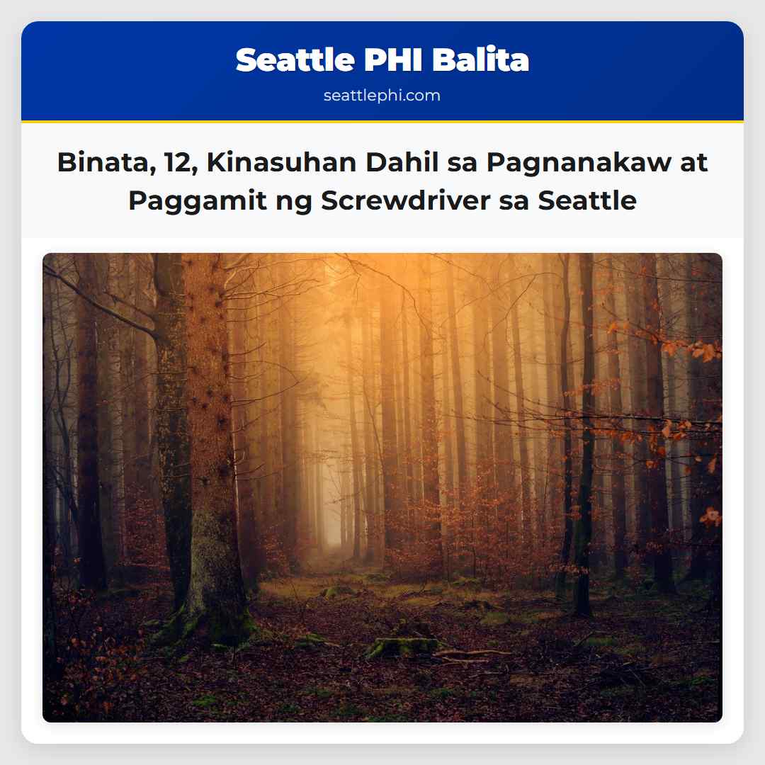 Binata, 12, Kinasuhan Dahil sa Pagnanakaw at