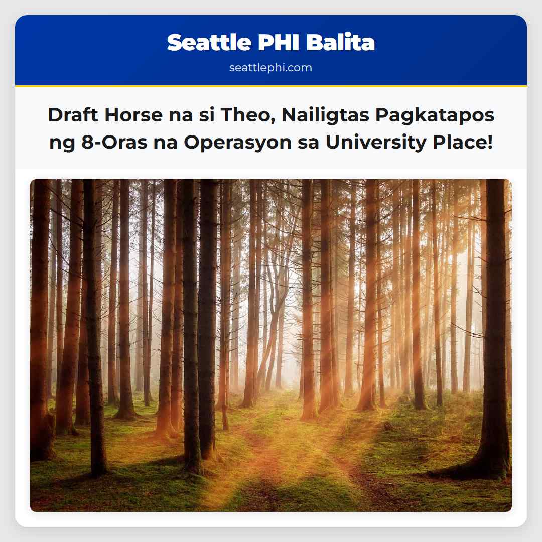 Draft Horse na si Theo, Nailigtas Pagkatapos ng