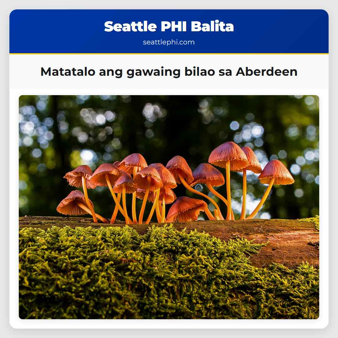 Matatalo ang gawaing bilao sa Aberdeen