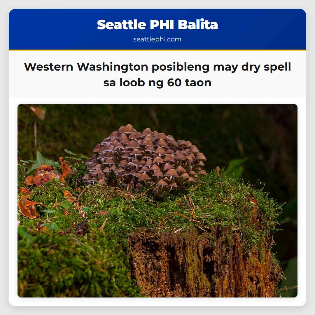 Western Washington posibleng may dry spell sa