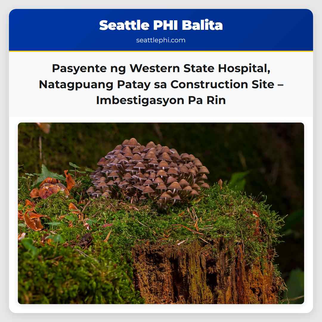 Pasyente ng Western State Hospital, Natagpuang