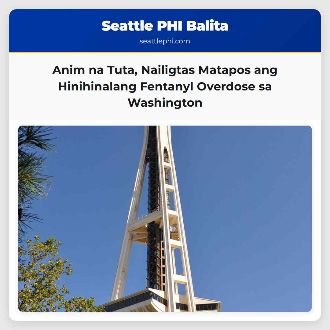 Anim na Tuta, Nailigtas Matapos ang Hinihinalang