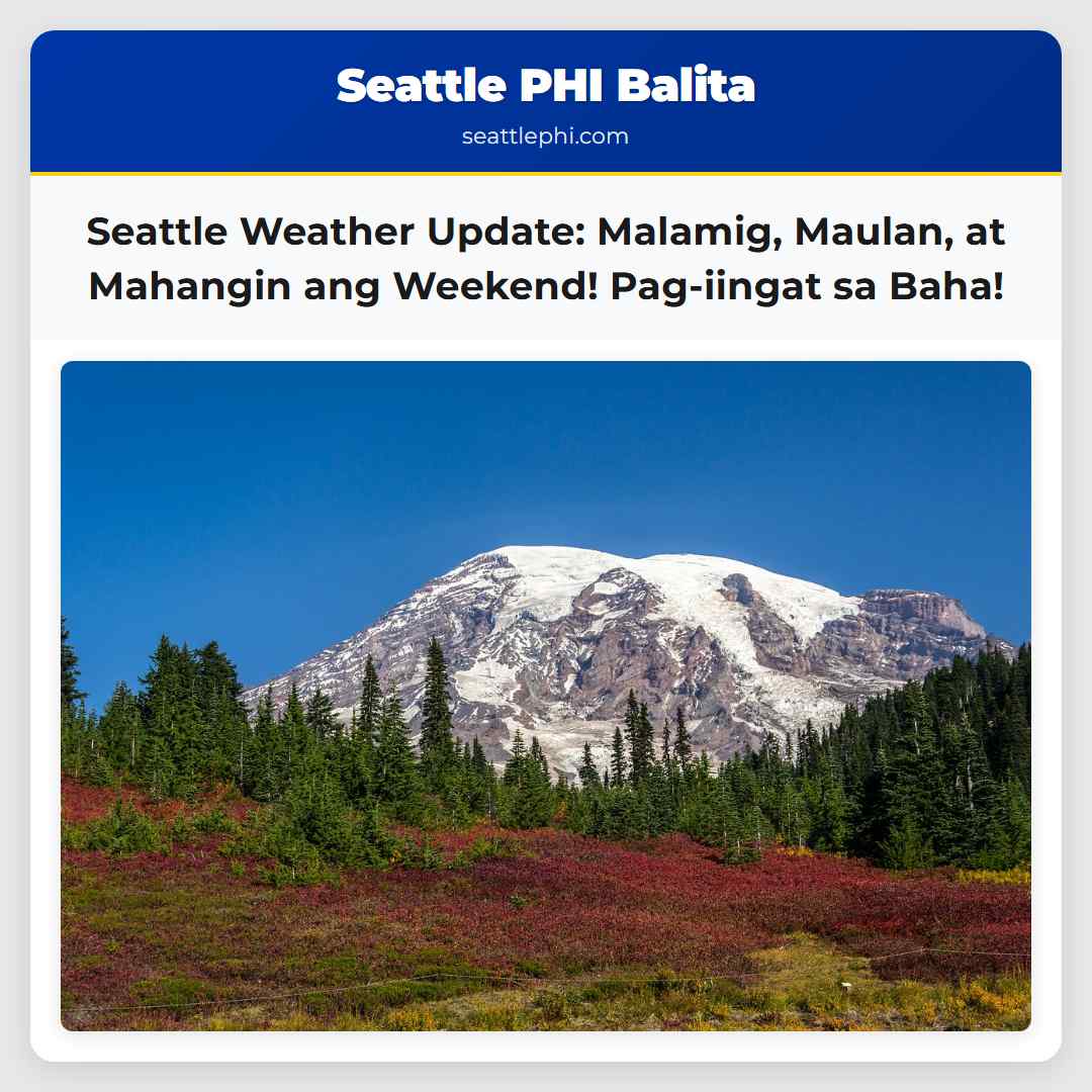 Seattle Weather Update: Malamig, Maulan, at