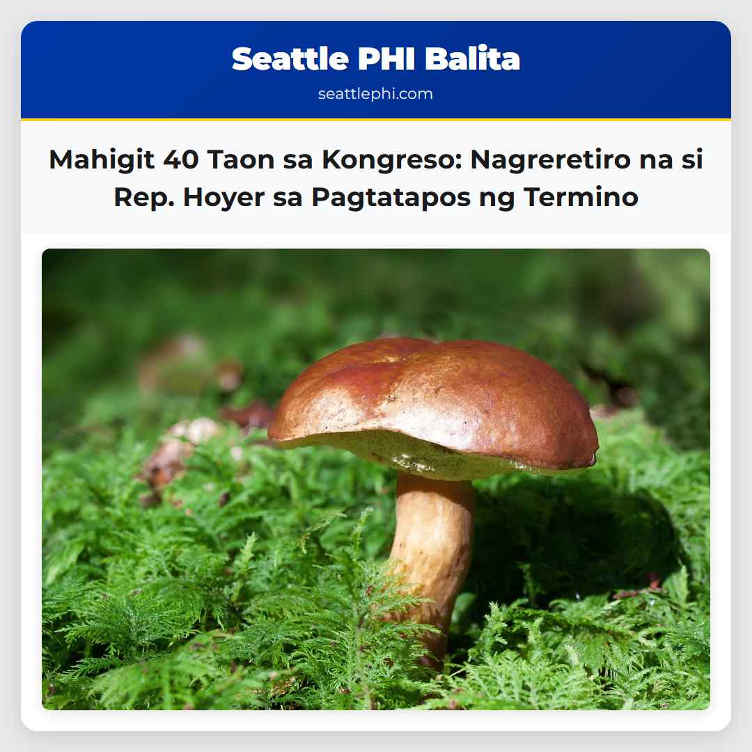 Mahigit 40 Taon sa Kongreso: Nagreretiro na si