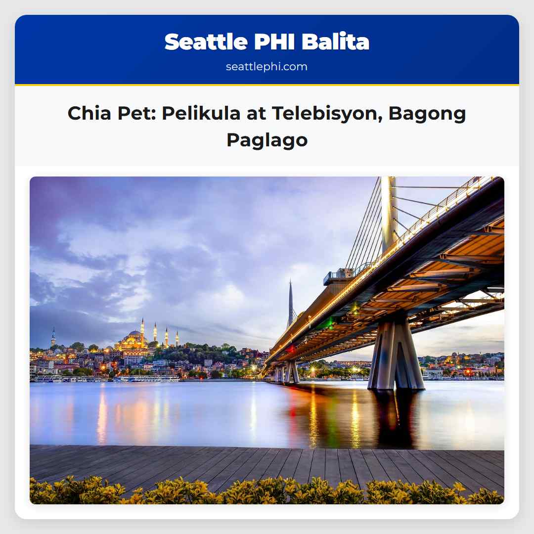 Chia Pet: Pelikula at Telebisyon, Bagong Paglago