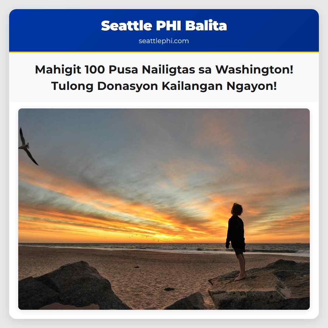 Mahigit 100 Pusa Nailigtas sa Washington! Tulong