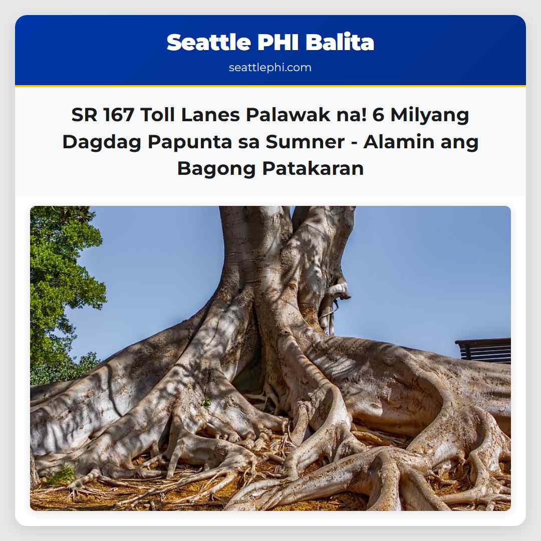 SR 167 Toll Lanes Palawak na! 6 Milyang Dagdag