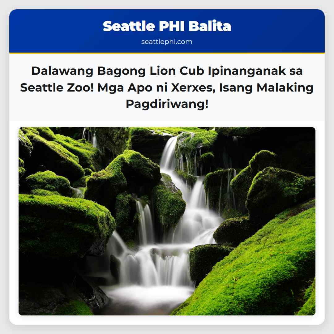 Dalawang Bagong Lion Cub Ipinanganak sa Seattle
