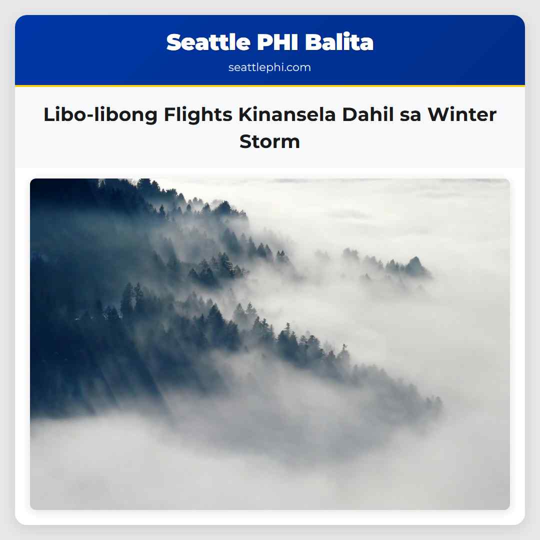 Libo-libong Flights Kinansela Dahil sa Winter