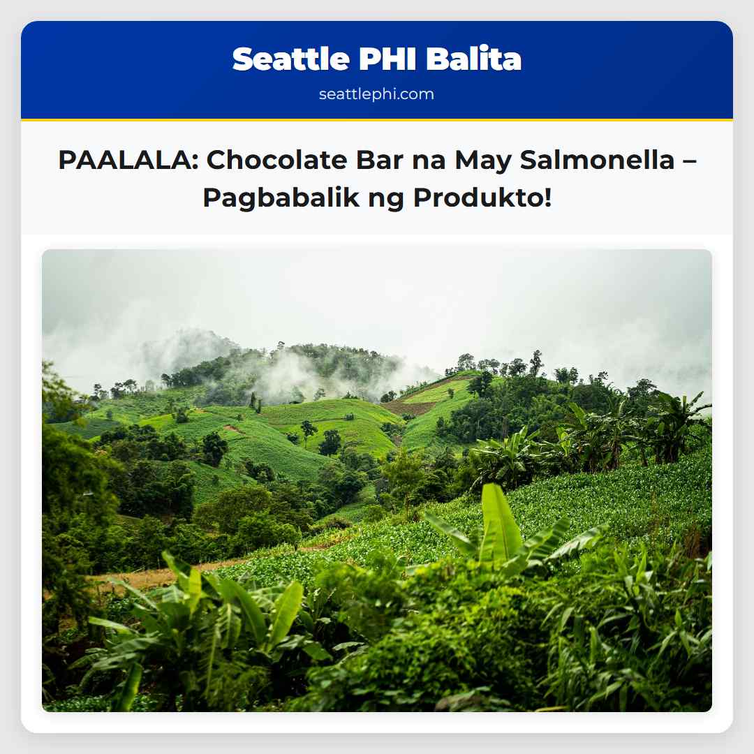 PAALALA: Chocolate Bar na May Salmonella –