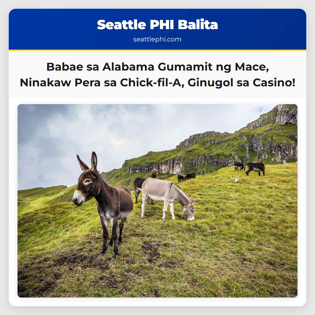 Babae sa Alabama Gumamit ng Mace, Ninakaw Pera sa