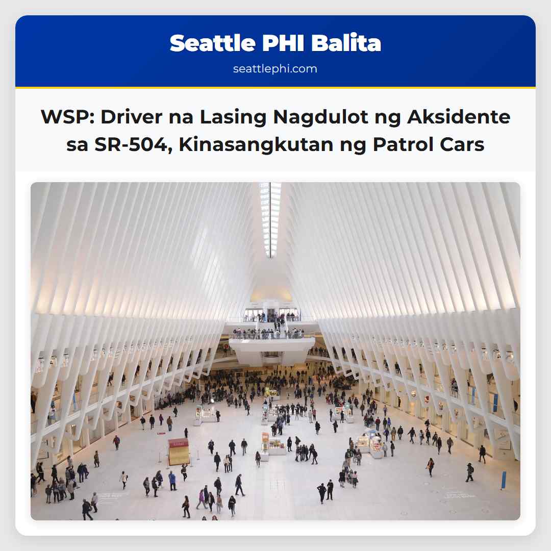 WSP: Driver na Lasing Nagdulot ng Aksidente sa