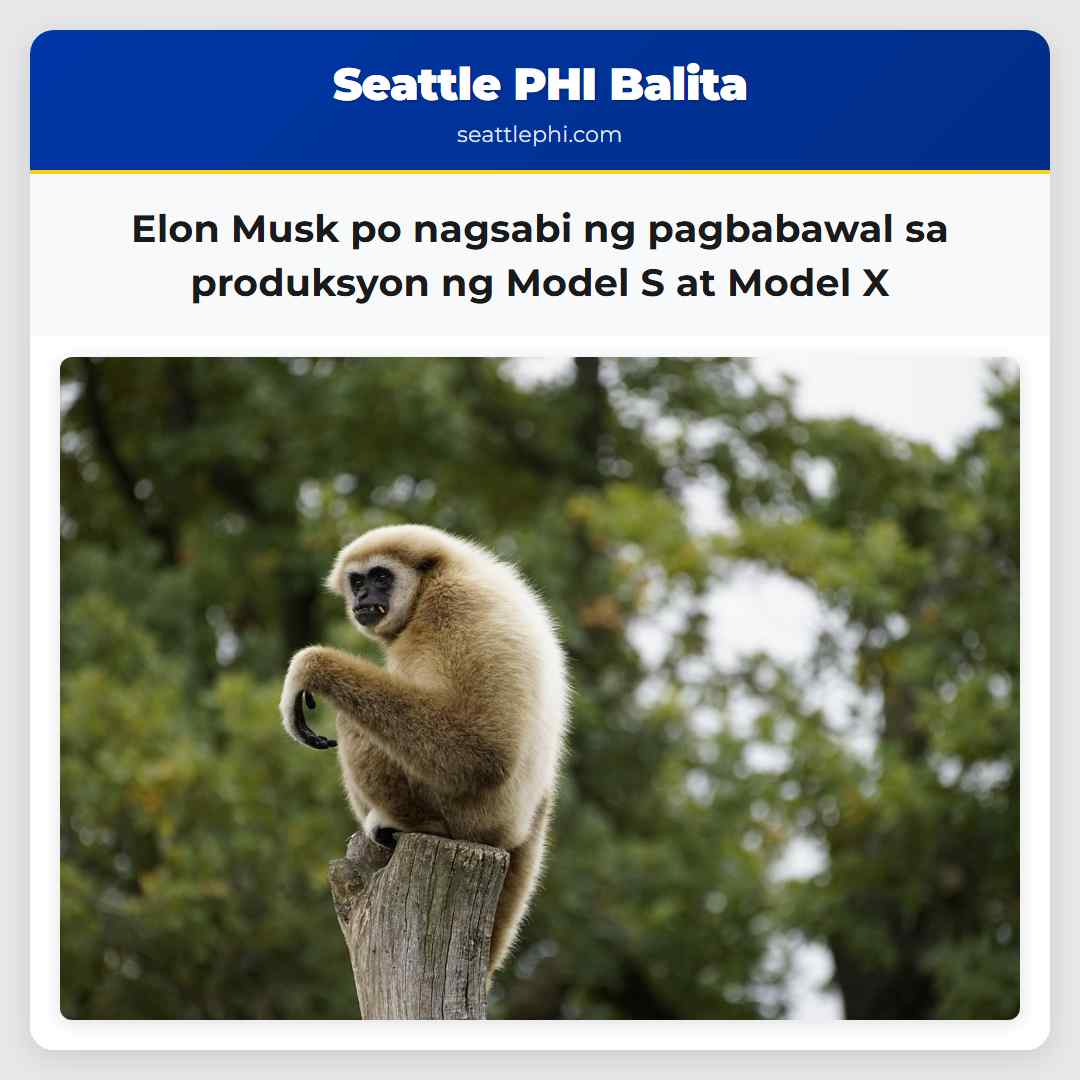 Elon Musk po nagsabi ng pagbabawal sa produksyon