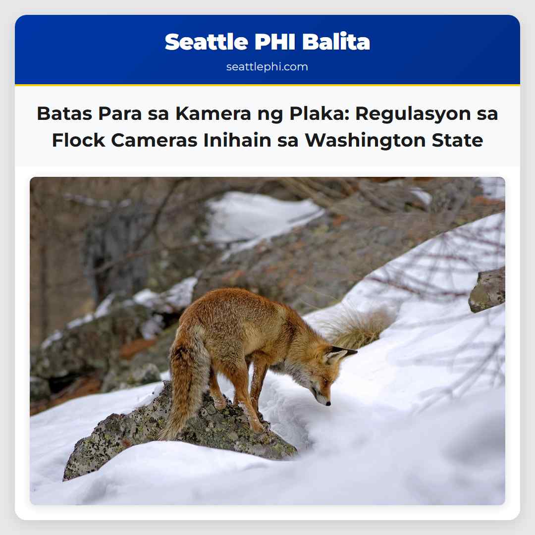 Batas Para sa Kamera ng Plaka: Regulasyon sa