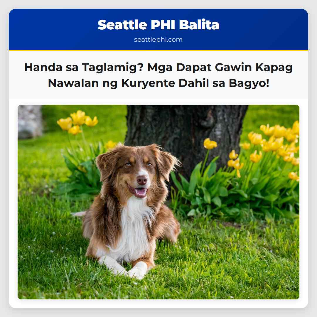 Handa sa Taglamig? Mga Dapat Gawin Kapag Nawalan