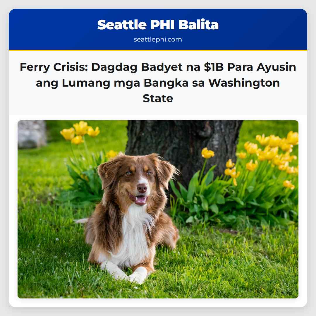 Problema sa Ferry Kailan Kaya Matutugunan at Ano ang Solusyon?