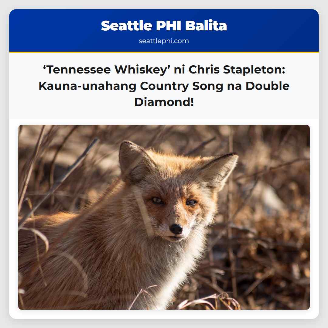 ‘Tennessee Whiskey’ ni Chris Stapleton: