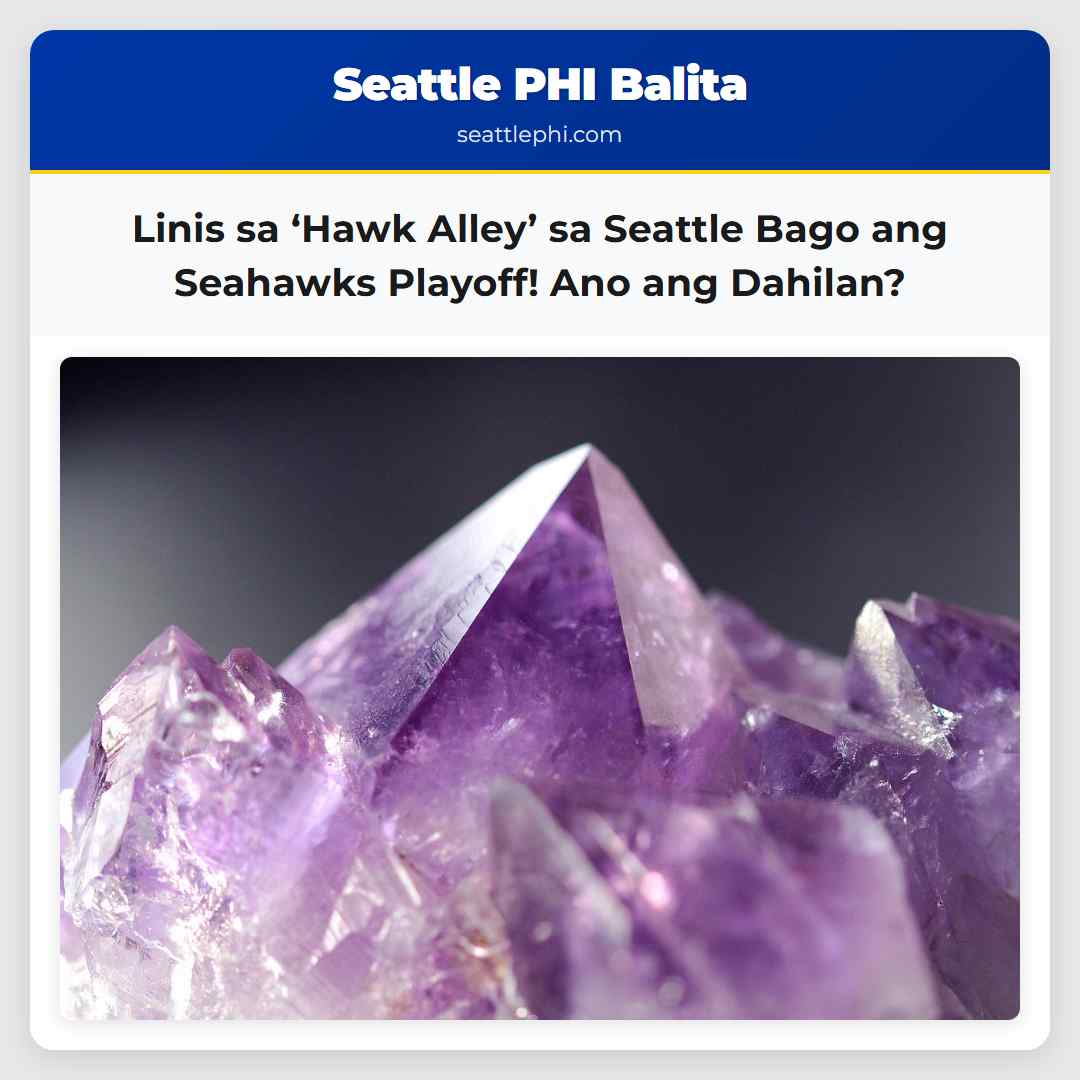 Linis sa ‘Hawk Alley’ sa Seattle Bago ang