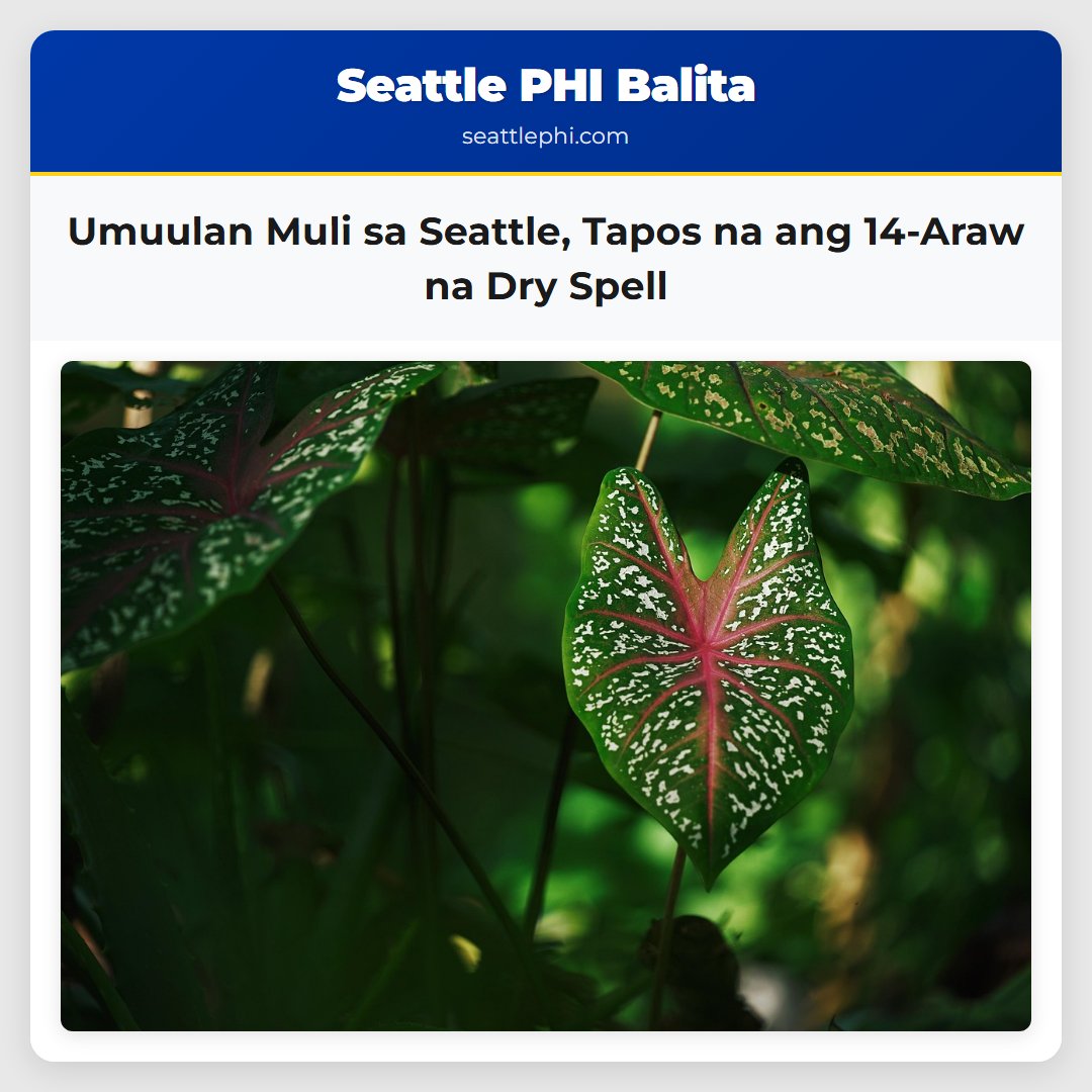 Umuulan Muli sa Seattle, Tapos na ang 14-Araw na