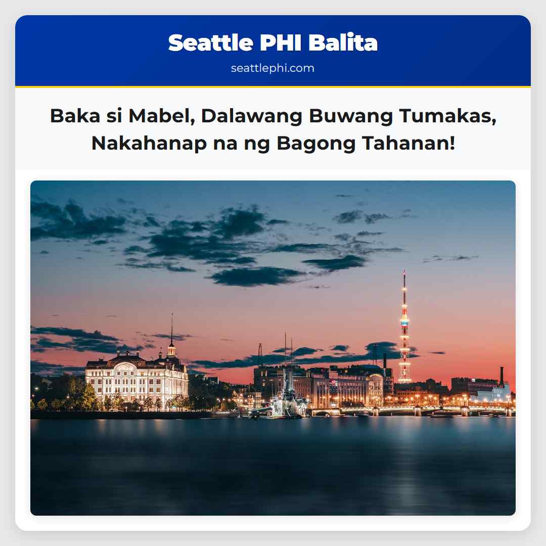 Si Mabel ang Bakang Dalawang Buwang Tumakas Nakahanap na ng Ligtas na Tahanan