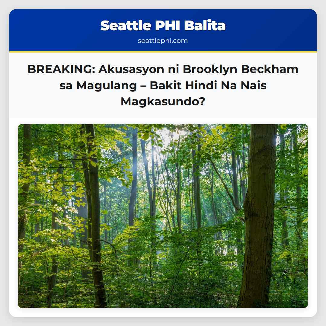 Naglalabas ng Akusasyon si Brooklyn Beckham Laban sa mga Magulang