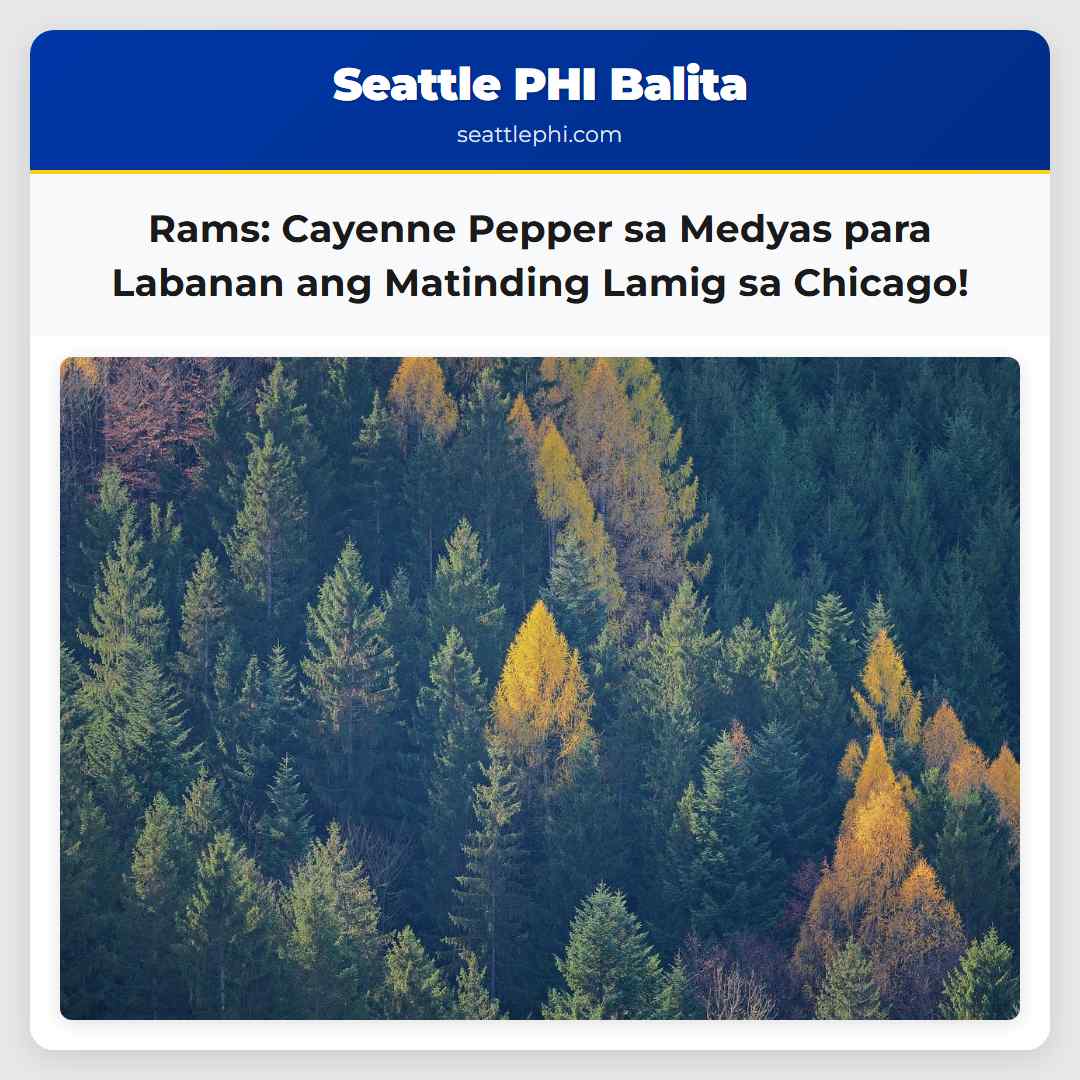 Maanghang na Lunas Ginagamit ng mga Manlalaro ng Rams ang Cayenne Pepper para Labanan ang Matinding Lamig sa Chicago