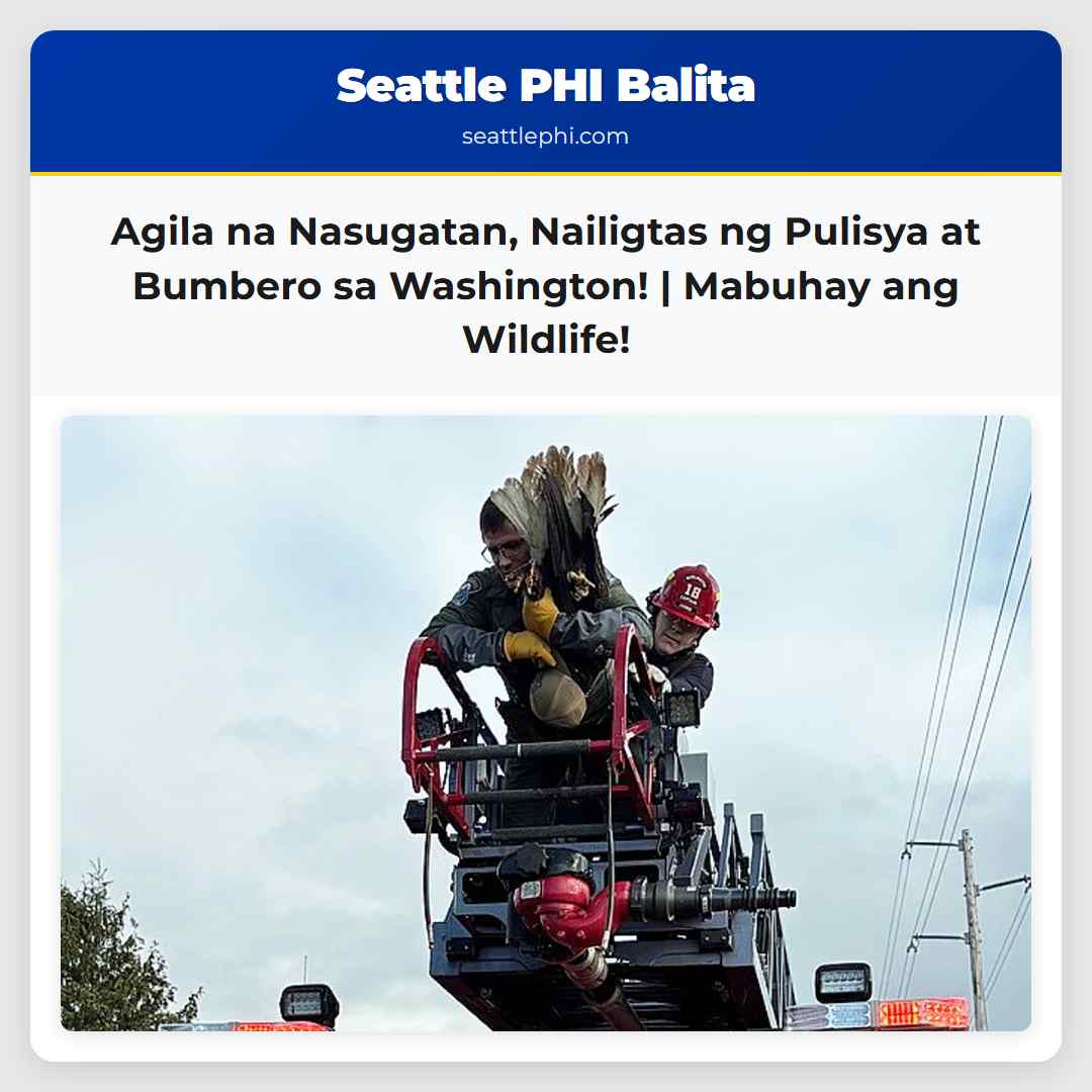 Agila na Nasugatan, Nailigtas ng Pulisya at