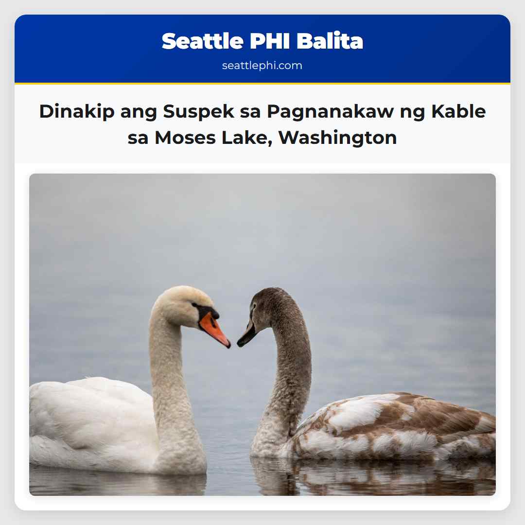Dinakip ang Suspek sa Pagnanakaw ng Kable sa