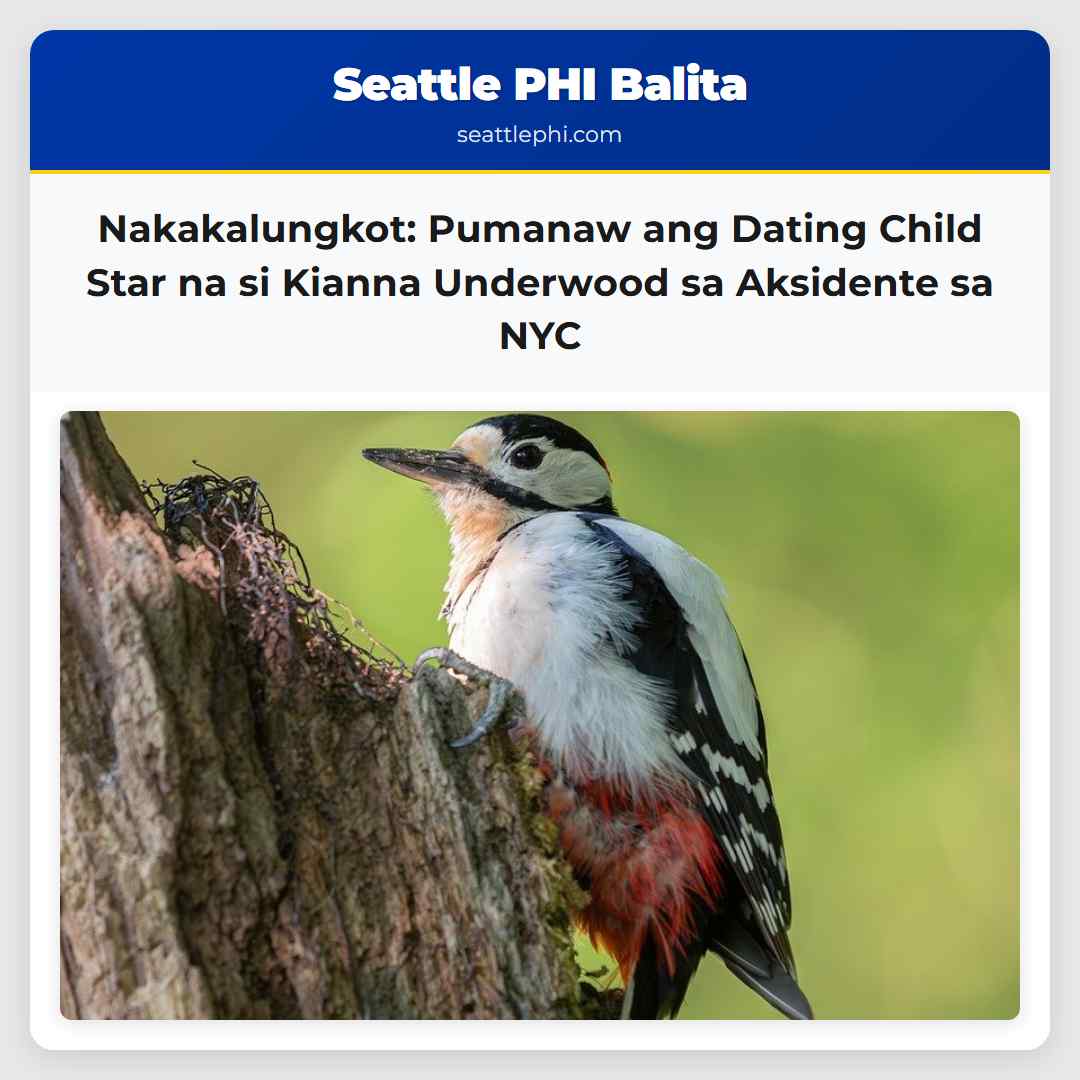 Pumanaw ang Dating Child Star na si Kianna Underwood sa Aksidente sa New York