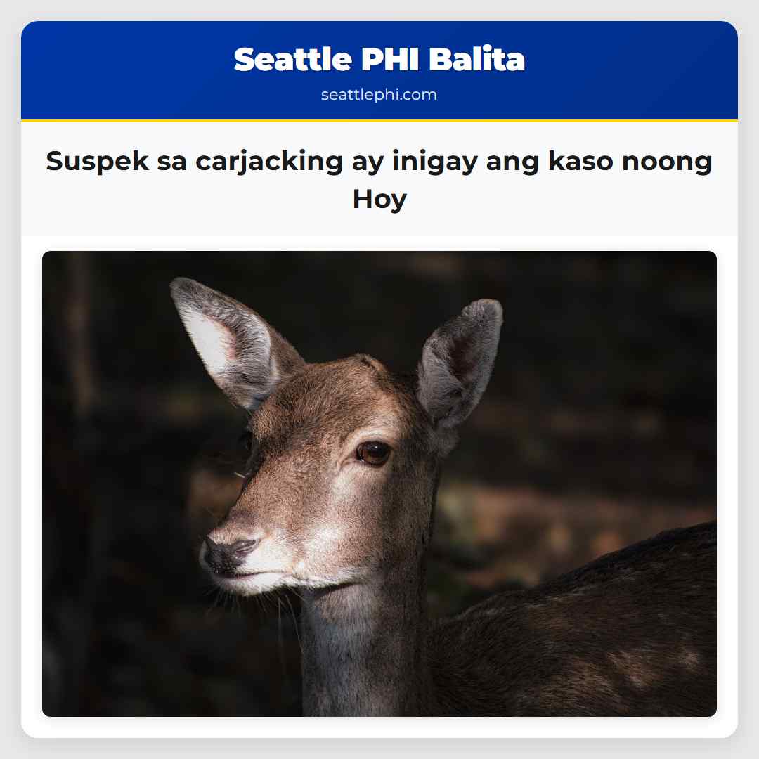 Suspek sa carjacking ay inigay ang kaso noong Hoy