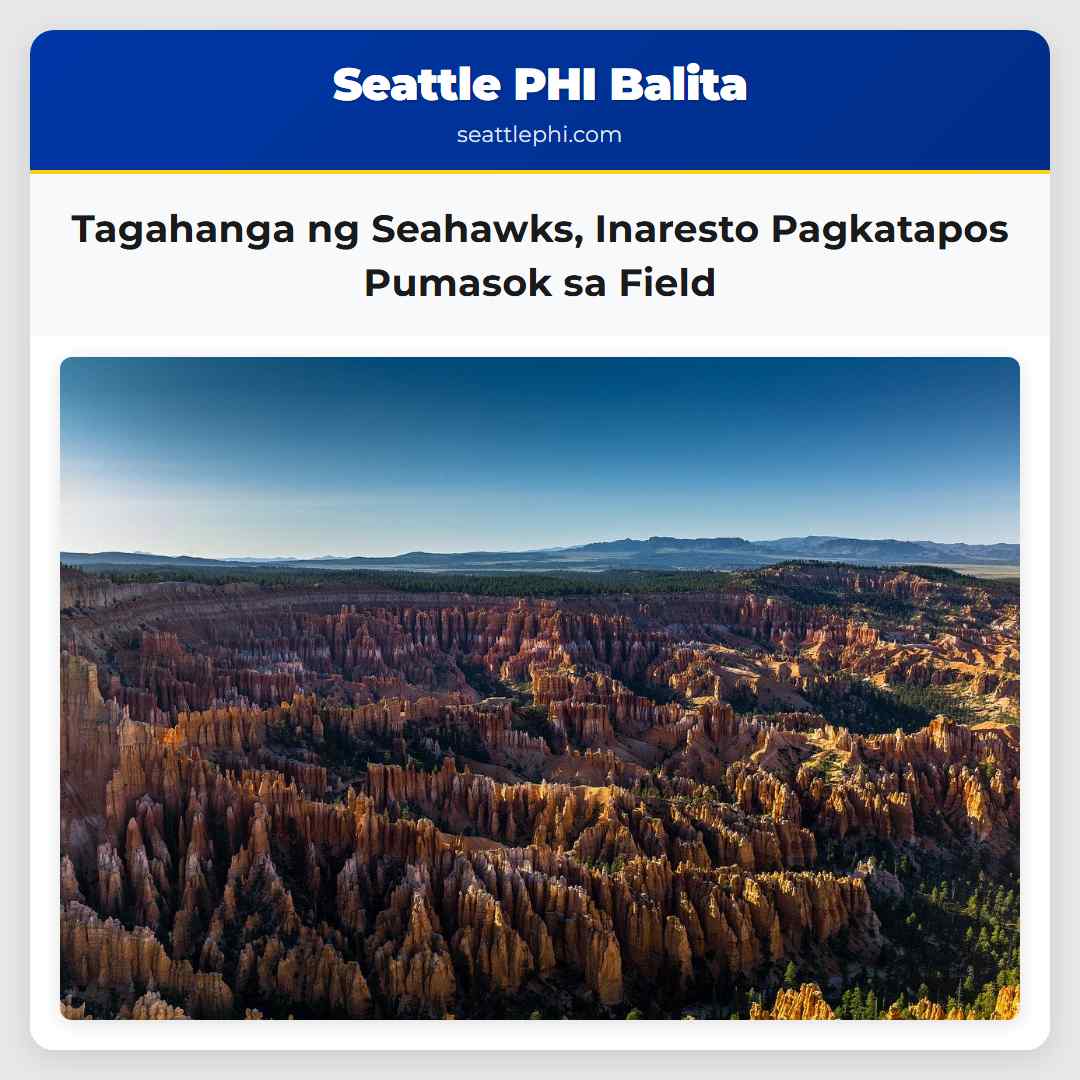 Tagahanga ng Seahawks, Inaresto Pagkatapos