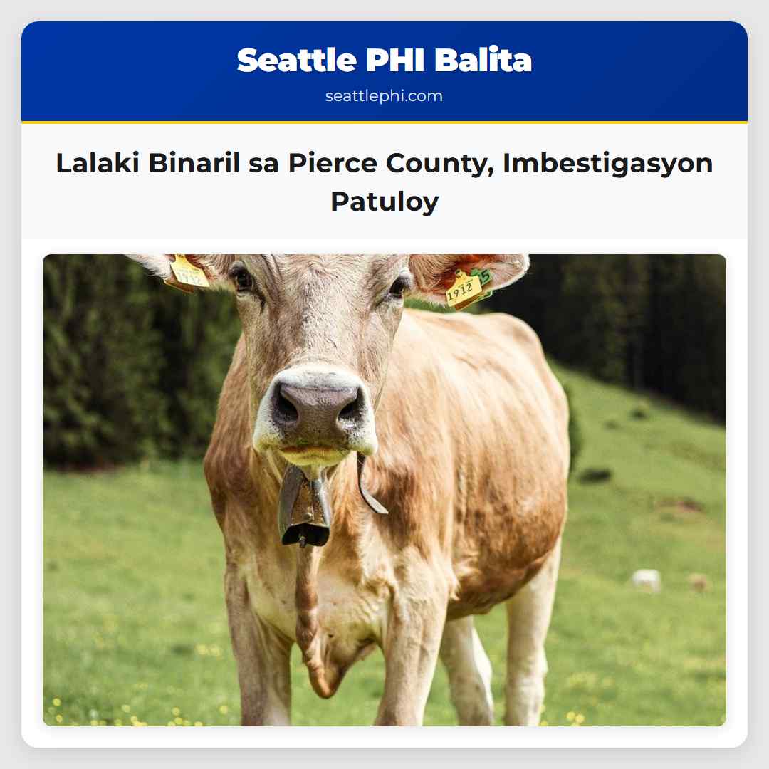 Lalaki Binaril sa Pierce County, Imbestigasyon
