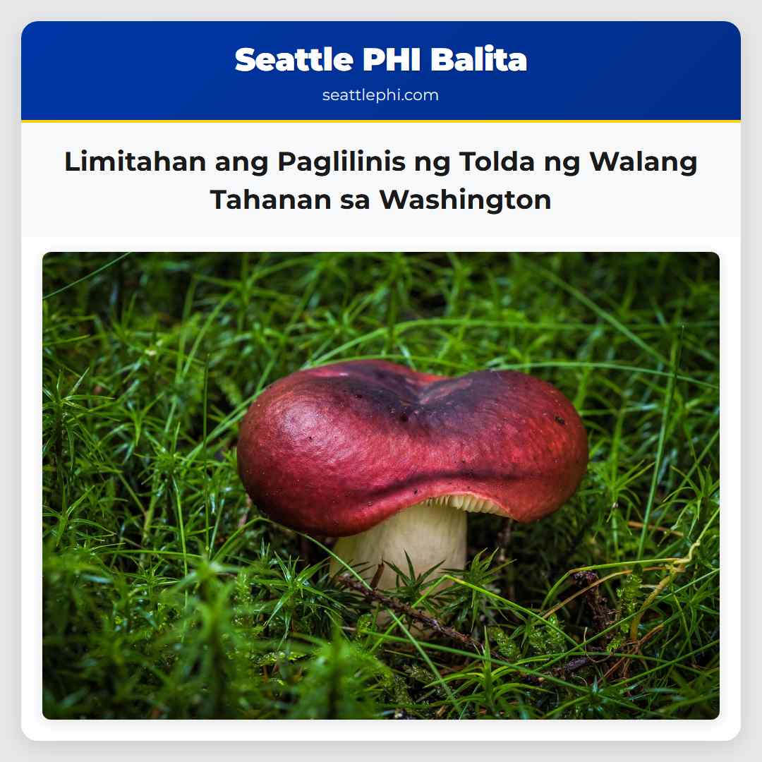 Panukalang Batas sa Washington Lilimitahan ang Paglilinis ng mga Tolda ng mga Walang Tahanan