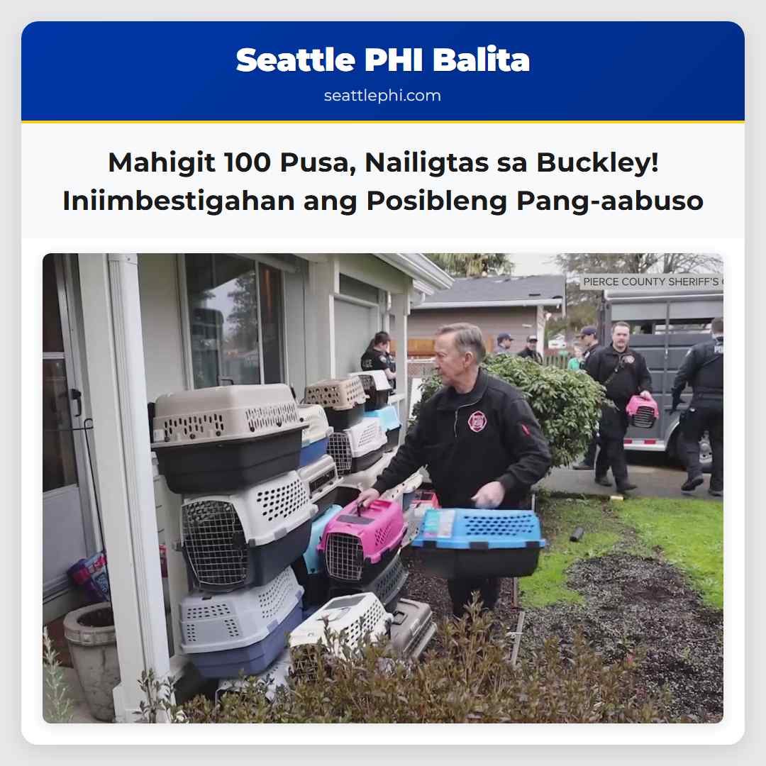 Mahigit 100 Pusa, Nailigtas sa Buckley!