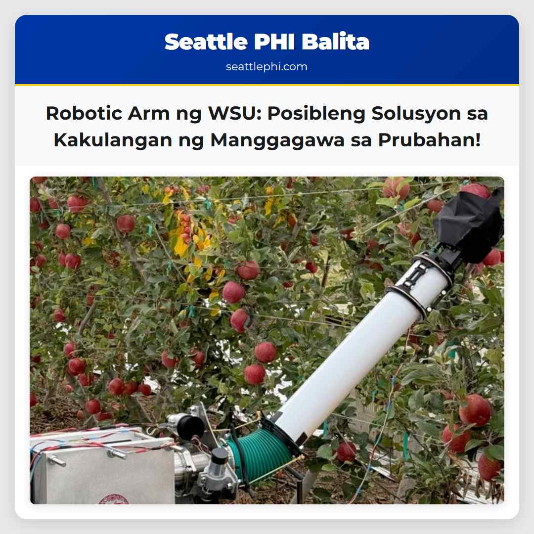 Robotic Arm ng WSU: Posibleng Solusyon sa