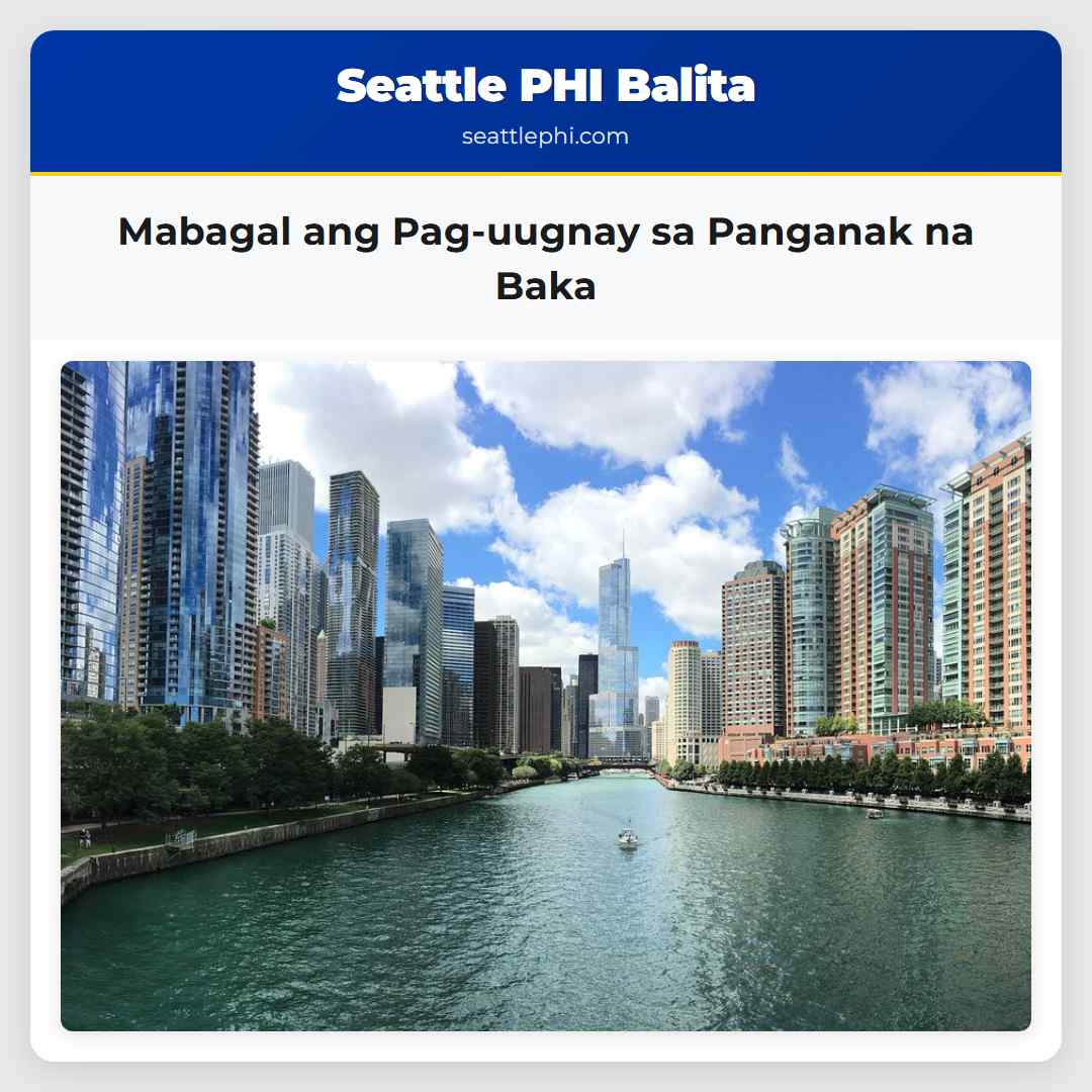 Mabagal ang Pag-uugnay sa Panganak na Baka