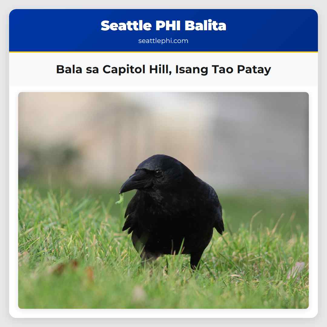 Bala sa Capitol Hill, Isang Tao Patay