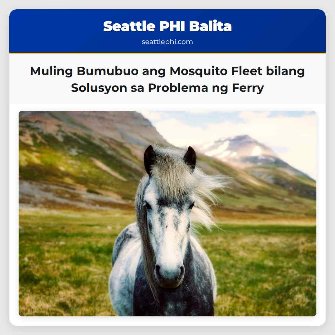 Muling Bumubuo ang Mosquito Fleet bilang Solusyon