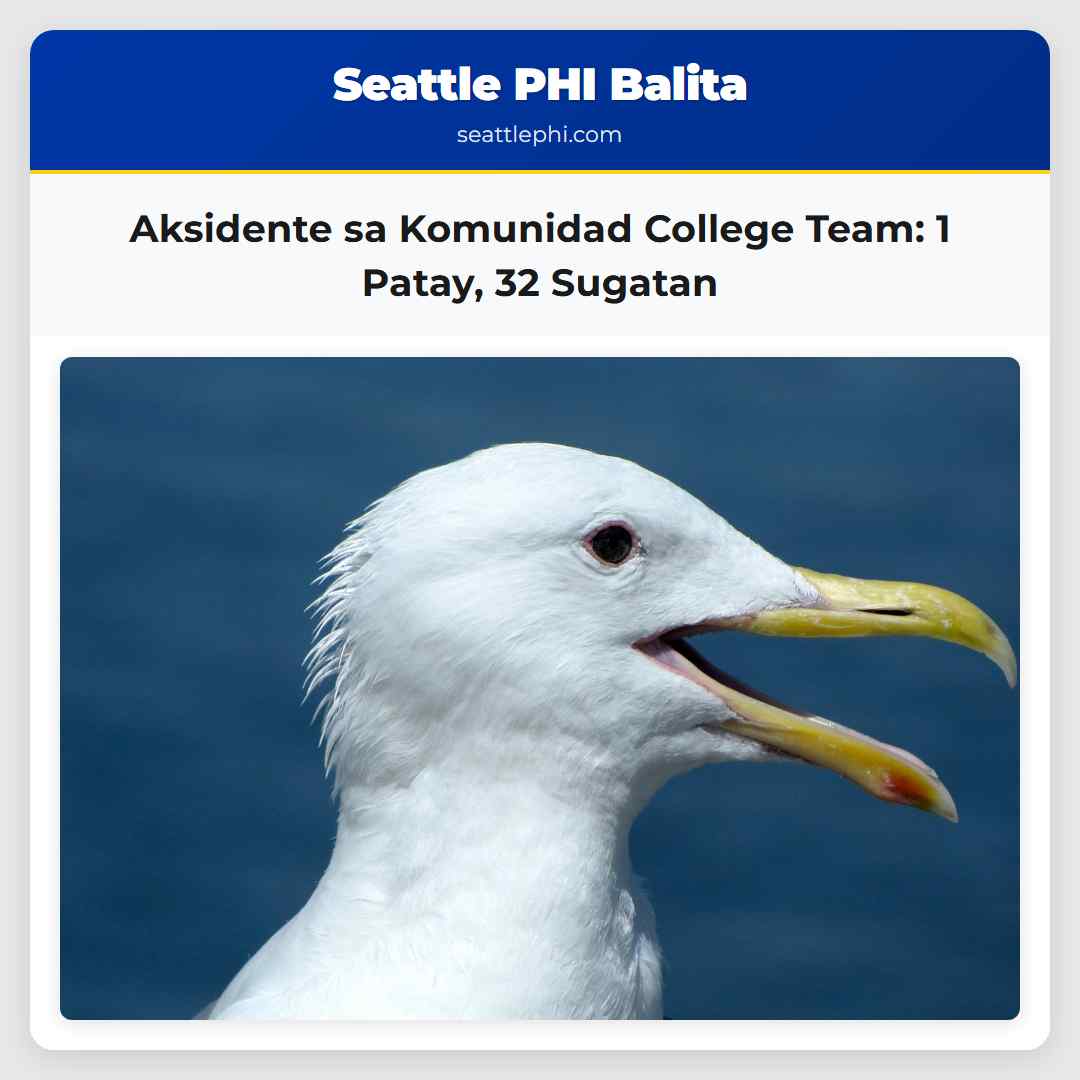 Aksidente sa Komunidad College Team: 1 Patay, 32